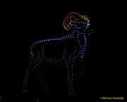 DroneArt Show 2026 auf der Galopprennbahn München Riem