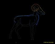 DroneArt Show 2026 auf der Galopprennbahn München Riem