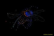 DroneArt Show 2026 auf der Galopprennbahn München Riem DroneArt Show 2026 auf der Galopprennbahn München Riem