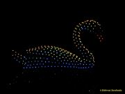 DroneArt Show 2026 auf der Galopprennbahn München Riem