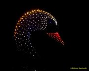 DroneArt Show 2026 auf der Galopprennbahn München Riem