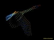 DroneArt Show 2026 auf der Galopprennbahn München Riem