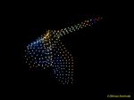 DroneArt Show 2026 auf der Galopprennbahn München Riem