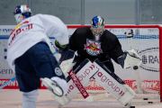 EHC Red Bull München 2023/24 - 1. gemeinsames Eistraining am 10.08.2023