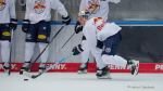 EHC Red Bull München 2023/24 - 1. gemeinsames Eistraining am 10.08.2023 EHC Red Bull München 2023/24 - 1. gemeinsames Eistraining am 10.08.2023