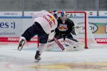 EHC Red Bull München 2023/24 - 1. gemeinsames Eistraining am 10.08.2023 EHC Red Bull München 2023/24 - 1. gemeinsames Eistraining am 10.08.2023