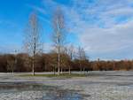 Fotto Spaziergang im Englischen Garten