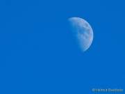 Fotto Spaziergang im Englischen Garten