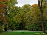 D151021-15050300-100-Englischer_Garten