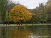 D151021-15184500-100-Englischer_Garten