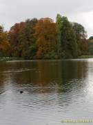 D151021-15280000-100-Englischer_Garten