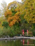 D151021-15330500-100-Englischer_Garten