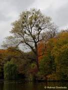 D151021-15414100-100-Englischer_Garten