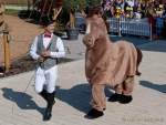 d180916-105753-890-100-equilaland-eroeffnung