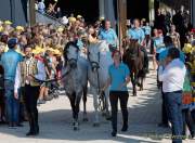 d180916-112546-150-100-equilaland-eroeffnung