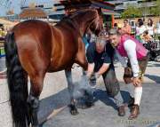 d180916-121921-460-100-equilaland-eroeffnung