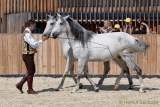 d180916-133551-030-100-equilaland-eroeffnung