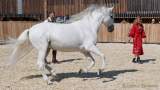 d180916-134456-040-100-equilaland-eroeffnung