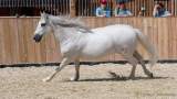 d180916-134459-440-100-equilaland-eroeffnung