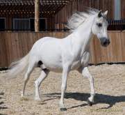 d180916-134501-390-100-equilaland-eroeffnung