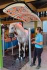 d180916-141416-280-100-equilaland-eroeffnung
