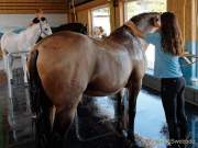 d180916-141658-680-100-equilaland-eroeffnung