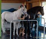 d180916-141749-290-100-equilaland-eroeffnung