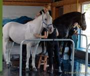 d180916-141749-290-100-equilaland-eroeffnung