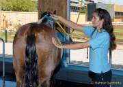 d180916-141848-730-100-equilaland-eroeffnung