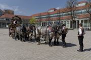 fruehlingsfest-eroeffnung-230421-130014.006