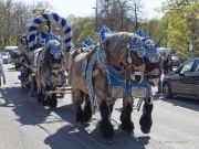 fruehlingsfest-eroeffnung-230421-140335.029