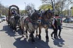 fruehlingsfest-eroeffnung-230421-140406.031