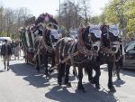 fruehlingsfest-eroeffnung-230421-140458.033