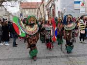 d200216-143225-880-100-faschingszug-muc