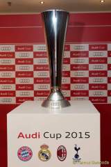 d150803-16003660-100-audi_cup-pk