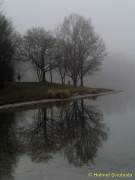 d140119-14523700-100-feringa_see