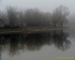 d140119-14571400-100-feringa_see