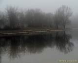 d140119-14571400-100-feringa_see