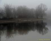 d140119-14571400-100-feringa_see