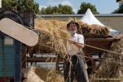 d160722-13113758-100-festival_500_jahre_reinheitsgebot