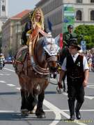 d160529-11153880-100-firetageparade