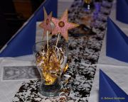 Fun Unlimited 2025 - Galaball - Saalfotos