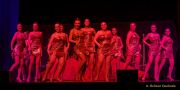 Fun Unlimited 2025 - Galaball - Showtanzgruppe