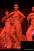 Fun Unlimited 2025 - Galaball - Showtanzgruppe