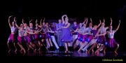 Fun Unlimited 2026 - Showpremiere MKT