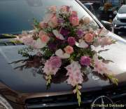 d160802-08451909-100-gaertnerjahrtag_muenchen