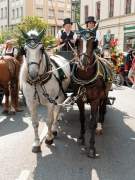 gaertnerjahrtag-muenchen-2018-0300