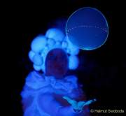 d200130-210252-270-100-galanacht_der_muenchner_gastronomie d200130-210252-270-100-galanacht_der_muenchner_gastronomie