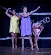 d180128-162900-390-100-gardetreffen_olching