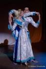 d190127-192816-810-100-gardetreffen_olching-fg_olching
